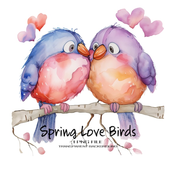 Funny Birds PNG Clipart with Transparent Background