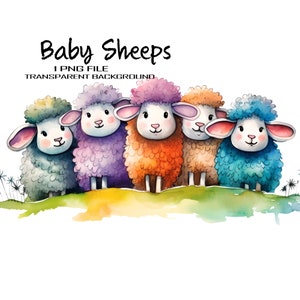 Baby Animal Clipart, Pecora carina acquerello immagine PNG