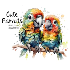 Simpatico pappagallo PNG acquerello clipart. Clipart di amore, amicizia e uccello divertente per la sublimazione.