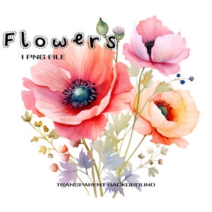 Fleurs de pavot à l'aquarelle PNG Clipart