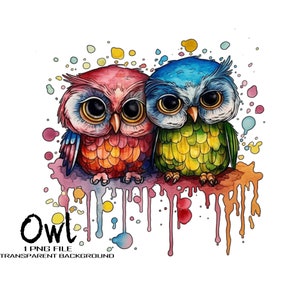 Owl digital art download. Cute Owl clipart watercolor painting. Bird print, owl PNG, owl sublimation, cute owl printable.