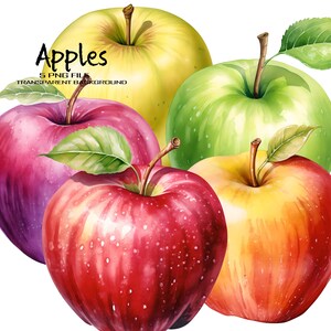Fall Decor Watercolor Apple Clipart Set of 5 PNG Images