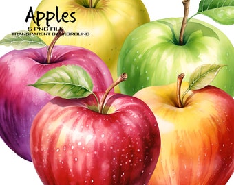 Fall Decor Watercolor Apple Clipart Set of 5 PNG Images