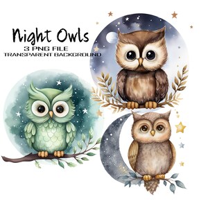 Aquarel uilen in een nacht PNG clipart