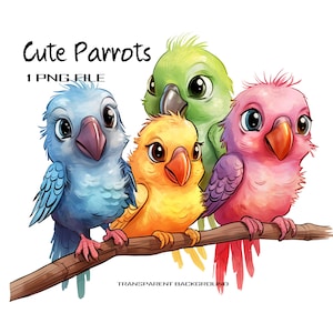 Parrot Clipart with Transparent Background, Cute Birds PNG