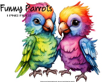 Funny Bird Clipart, Two Cute Parrots PNG