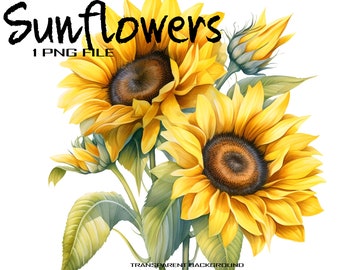 PNG Sunflower Watercolor Clipart