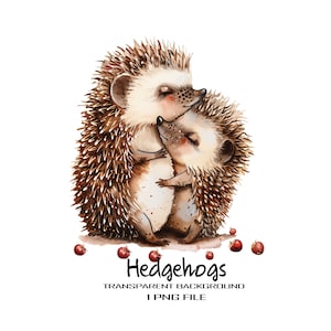 Adorable illustration de câlin de hérisson - hérisson mignon fichier PNG - fond transparent