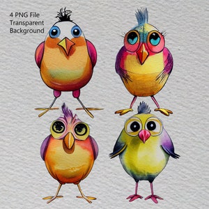 Bird clipart digital art download. Funny bird clipart instant download. Bird print, birds png, bird sublimation, cute bird printable