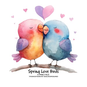 Cute Love Birds Watercolor PNG Clipart - Etsy