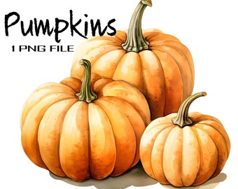 Autumn Harvest Watercolor Pumpkins, Digital Clipart