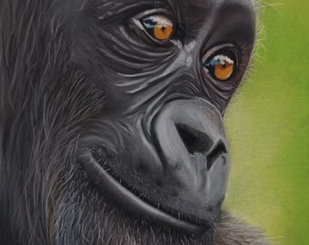 Print of an Original Pastel Painting of a Gorilla