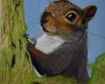 Squirrel Painting in Pastel Pencils Framed