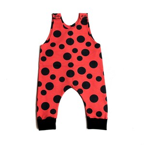 Zara top ladybird jumper