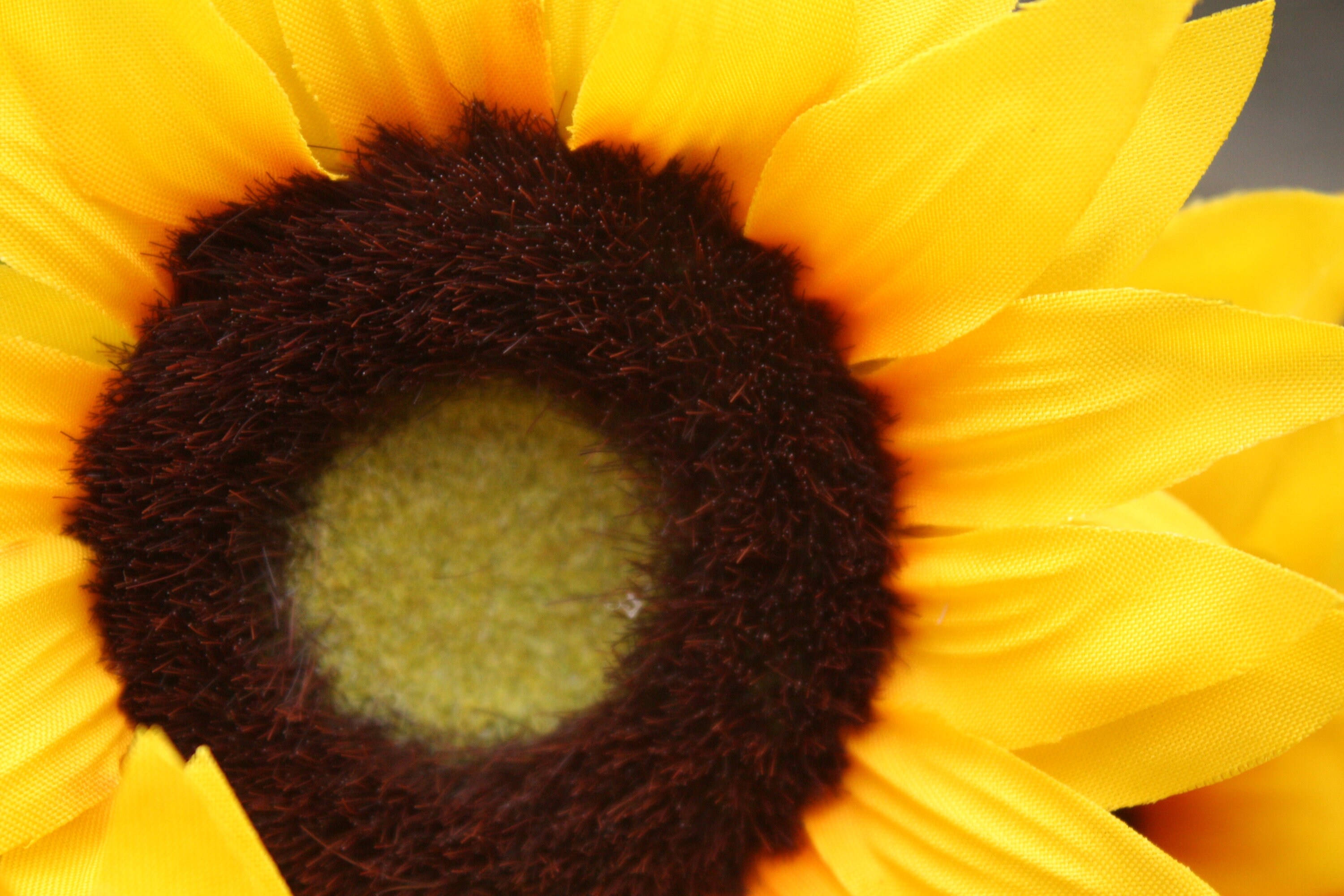 7 X Rich Yellow Silk Sunflowers 9cm & 11cm Heads With Foliage Etsy UK