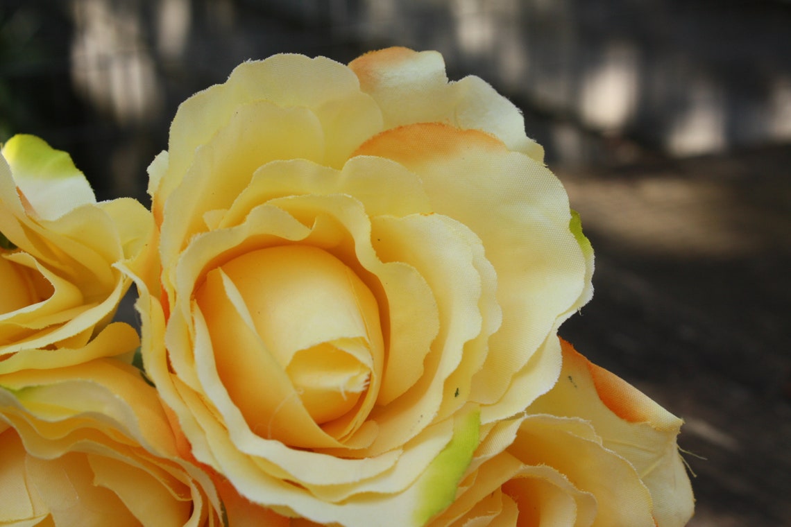 7 x Yellow Silk Roses 7cm on wired stems tied bunch small Etsy