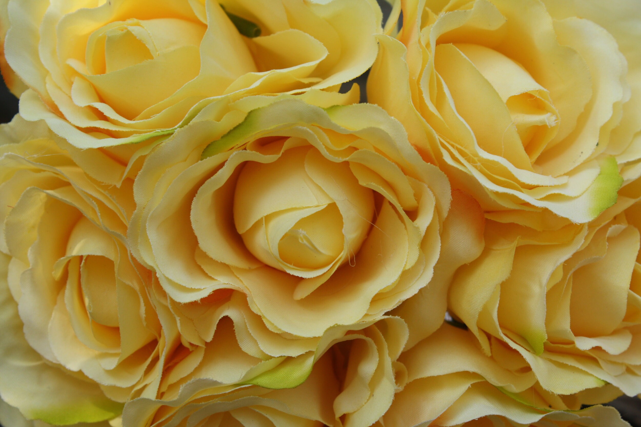 7 X Yellow Silk Roses 7cm on Wired Stems Tied Bunch Small Etsy UK