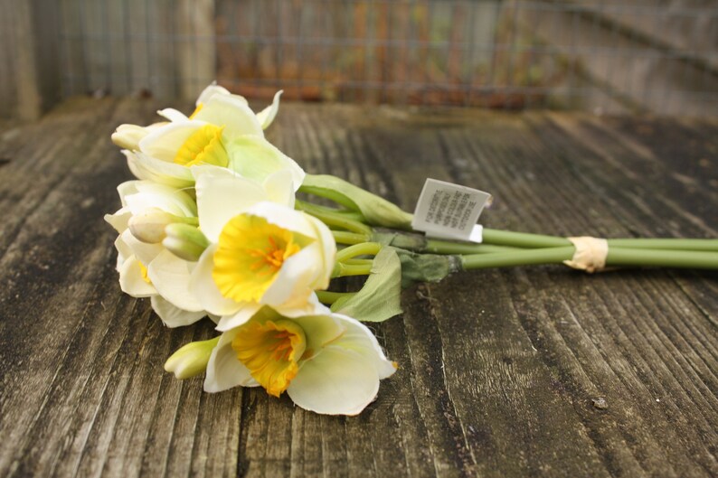 Bunch of 3 x Yellow/Orange or Cream/Yellow Silk Daffodil