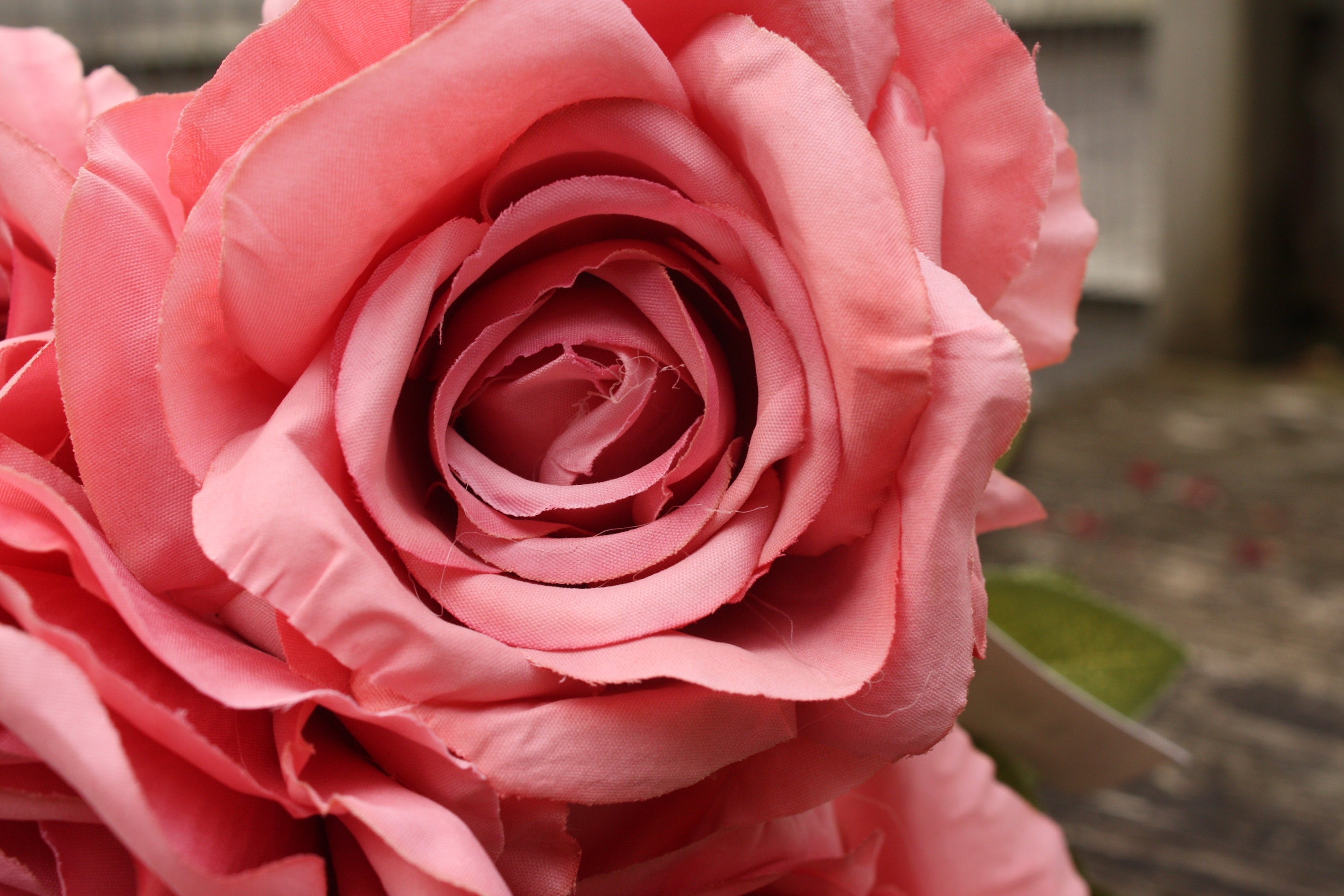 6 x Soft Mid Pink Silk Long Stem Roses 9cm on individual wired Etsy