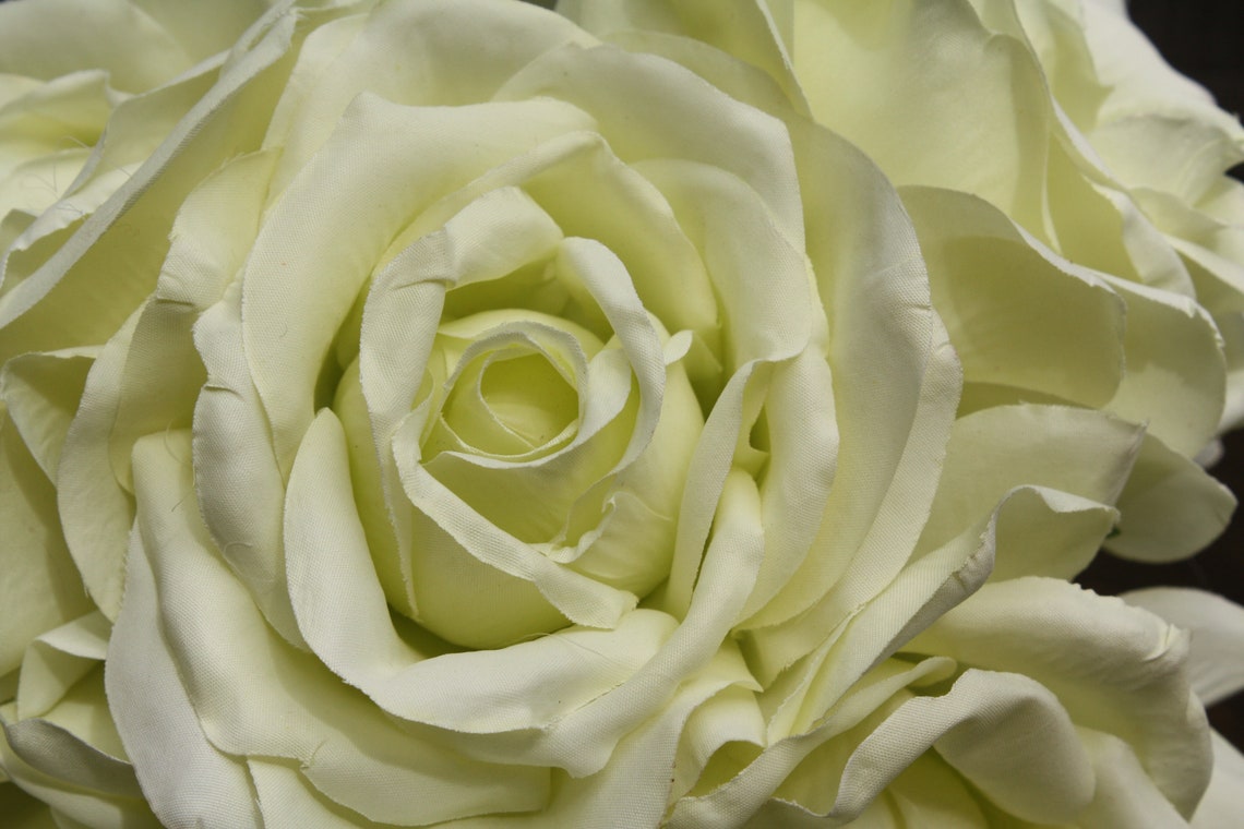 5 x Pale Vintage Green Open Silk Roses 10cm on individual Etsy