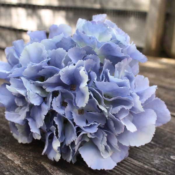 Dusky Mid Cornflower Blue Shaded Silk Hydrangea Flower 17cm on long wired stem 43cm