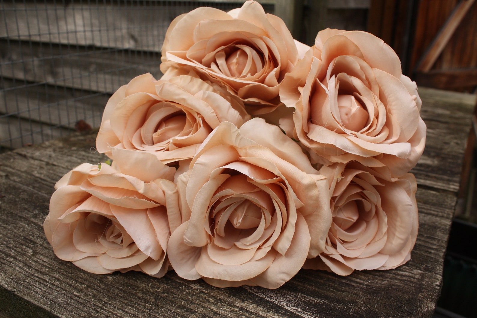 6 x Deep Mocha Cream Silk Long Stem Roses 9cm on individual Etsy