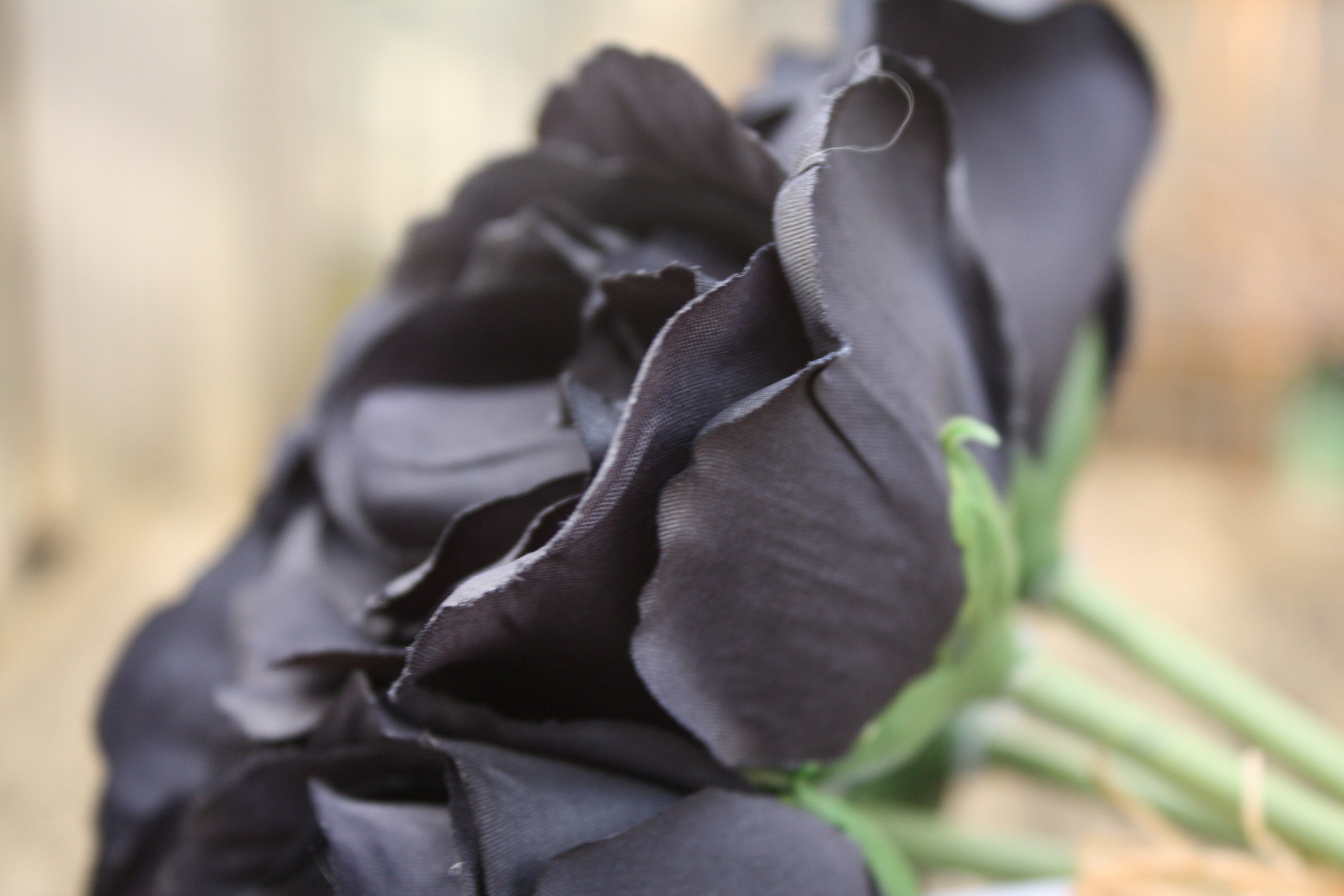 7 x Rich Black Silk Roses 7cm on individual wired stems tied Etsy