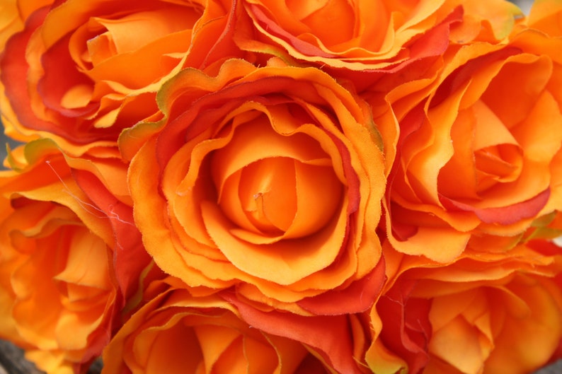 7 X Rich Orange Silk Roses 7cm on Wired Stems Tied Bunch | Etsy