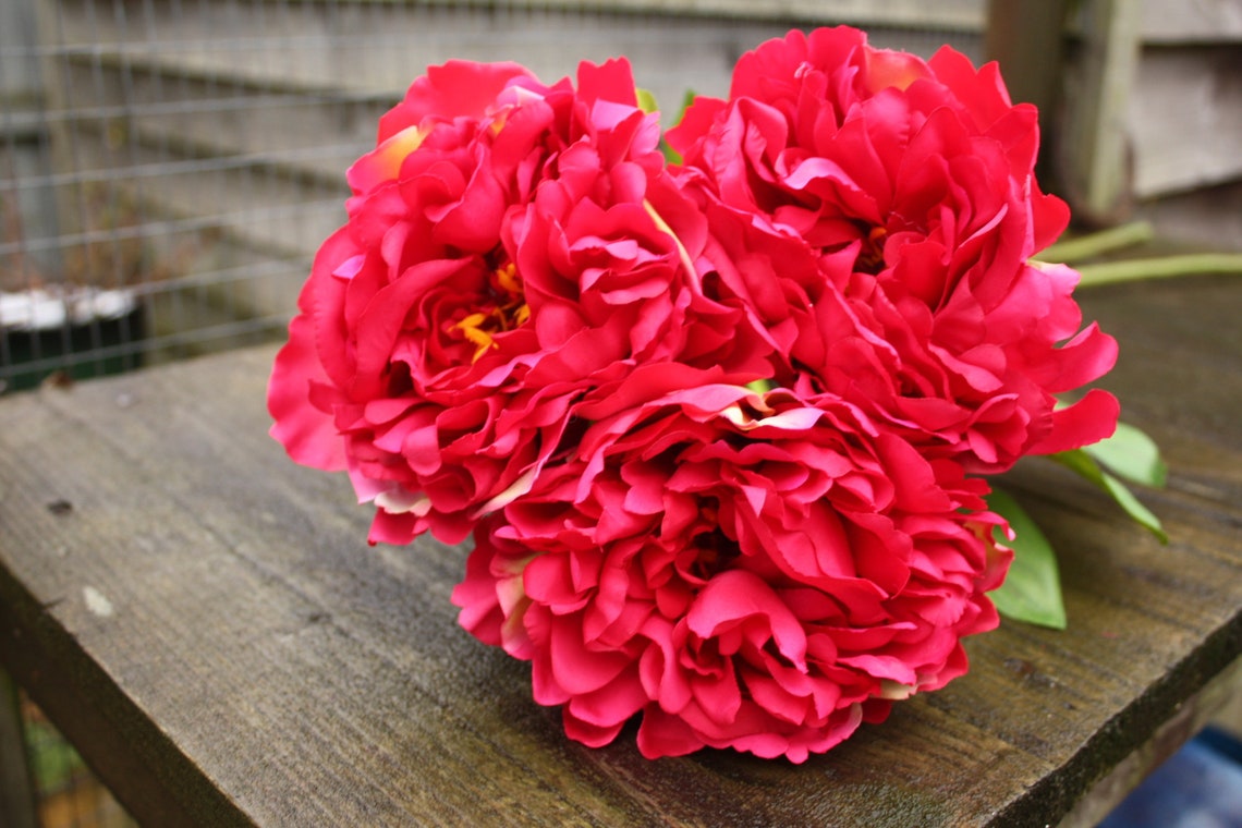 3 x Cerise / Hot Pink Silk Peony Flowers 12cm heads on long Etsy