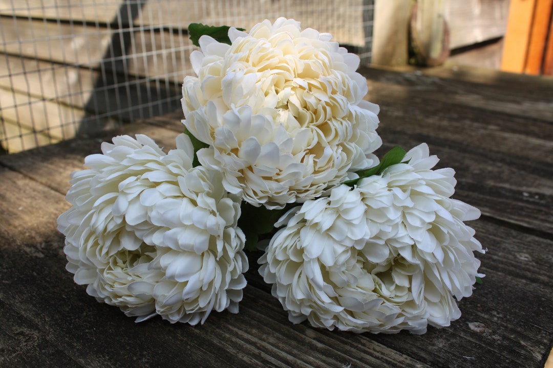 3 X Vintage Cream deep Ivory Silk Chrysanthemum Flowers 9cm Heads on