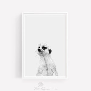 Meerkat art print. mongoose wall art. animal room decor. meerkat poster digital download. black and white animal art print download - 0003