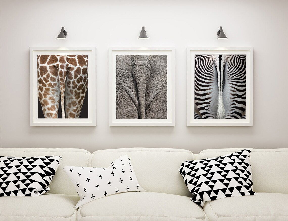 Set of 3 Funny Animal Ass Prints Elephants Wall Art Zebra - Etsy