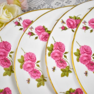 Set of 4 - EB Foley Century Rose Dinner Plates