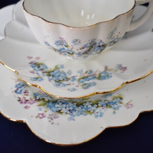 Paragon Star China Tea Trio - Forget-Me-Nots