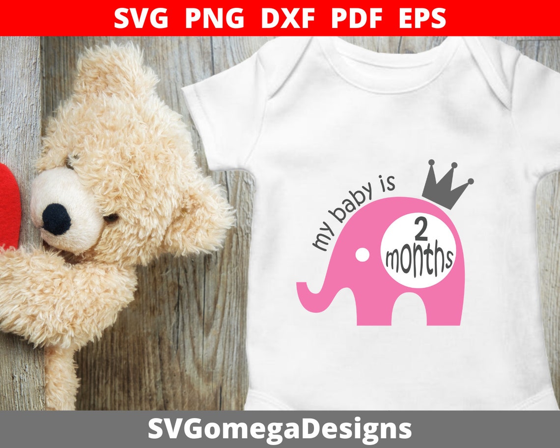 Baby Milestone Svg Files First Year Cut Files Baby Svg | Etsy