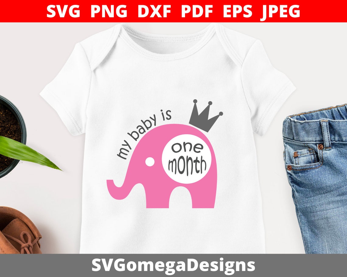 Download Baby Milestone Svg Files First Year Cut Files Baby Svg | Etsy