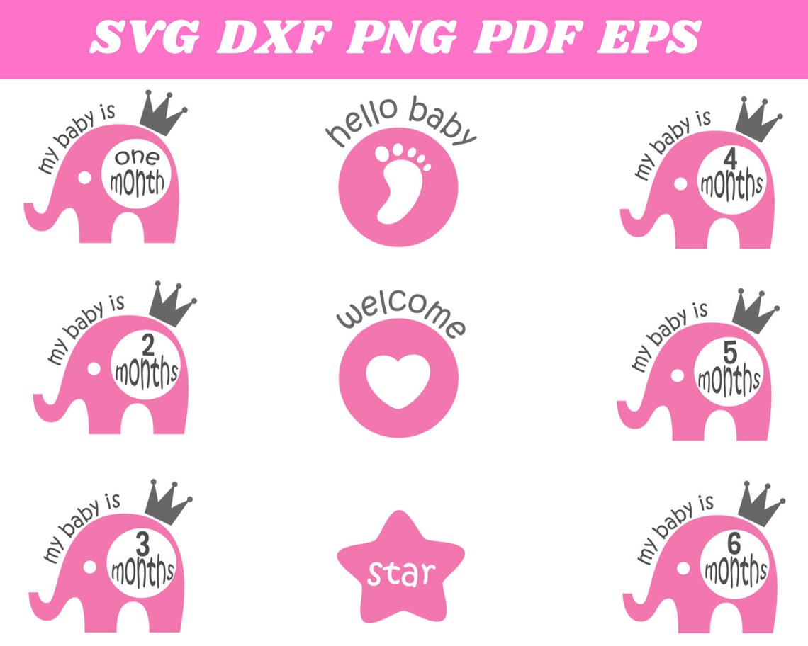 Download Baby Milestone Svg Files First Year Cut Files Baby Svg | Etsy