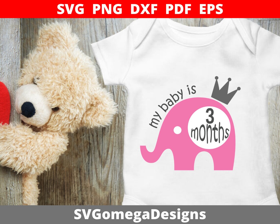 Download Baby Milestone Svg Files First Year Cut Files Baby Svg | Etsy