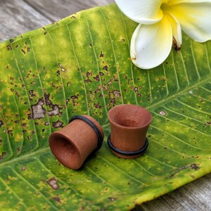 May include: Two wooden ear gauges with black rubber bands, resting on a green leaf with brown spots.