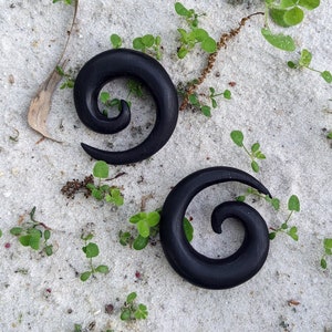 May include: Two black spiral ear gauges, made of wood, on a white sandy surface with green plants.