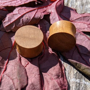 May include: Two wooden ear gauges, one light brown and one darker brown, are displayed on a bed of red autumn leaves.