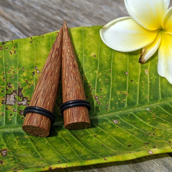 Wood Ear Gauges Etsy