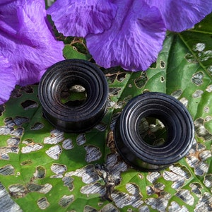 May include: Two black wooden ear gauges with a circular shape and multiple rings. The gauges are on a green leaf with holes.