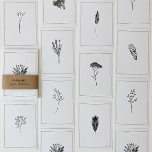 12 Floral postcards, 12 card set with minimal botanical illustrations image 2