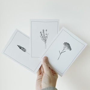 12 Floral postcards, 12 card set with minimal botanical illustrations image 4