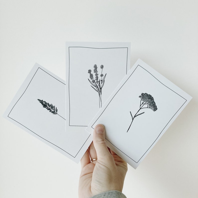 12 Floral postcards, 12 card set with minimal botanical illustrations image 4