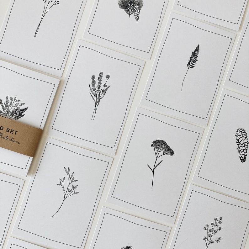 12 Floral postcards, 12 card set with minimal botanical illustrations image 1