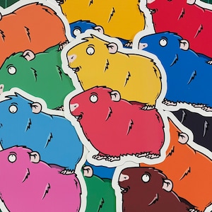 Par de dibujos animados de pegatinas de conejillo de indias - divertidas pegatinas lindas de conejillo de indias - varios colores y solicitudes personalizadas