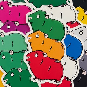 Dibujos animados TRIO de pegatinas de conejillo de indias - divertidas y lindas pegatinas de conejillo de indias - varios colores y solicitudes personalizadas