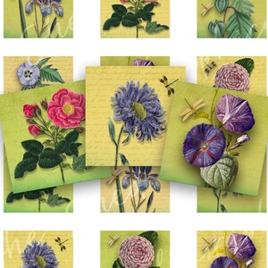 Folha de colagem de flores botânicas: imagens quadradas de 2&quot; para impressão (download digital)